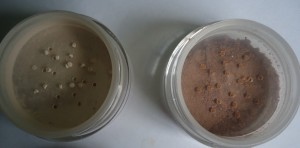 Mineral Hygienics Starter Kit Review, Swatches