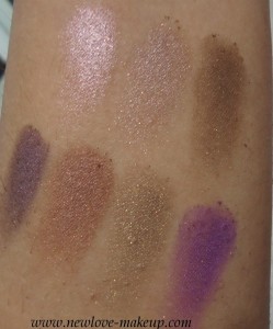 Colorbar Eyeshadows Brown, Purple Swatches