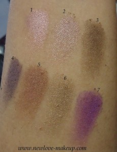 Colorbar Eyeshadows Brown, Purple Swatches