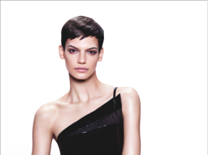 The Essential Looks CATWALK TO SALON Collection 2 for Autumn/Winter 2012