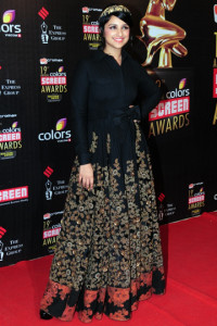 Who Wore What: 19th Colors Screen Awards- 2013