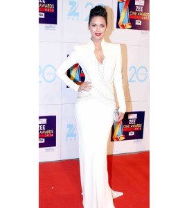Who Wore What: Zee Cine Awards 2013