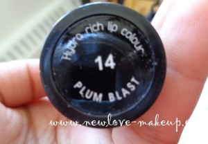 Tips and Toes Hydra Rich Lipstick Plum Blast Review, Swatches