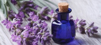 Top 10 Types of Essential Oils, Their Uses and Benefits, How to Use, Buy Online